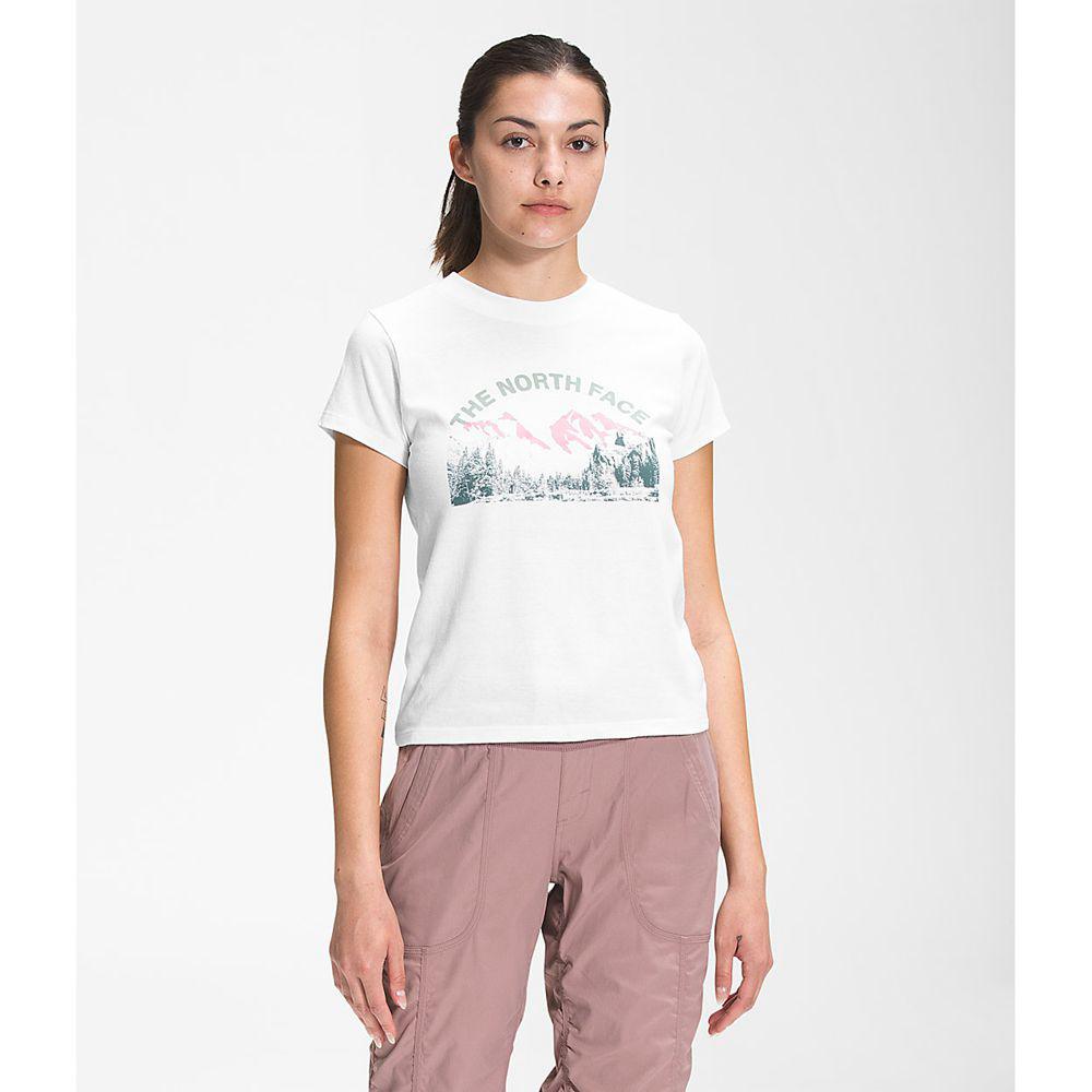 The North Face Κοντό Μανίκι Outdoors Together Γυναικεια T Shirt - Ασπρα (GQKM72584)